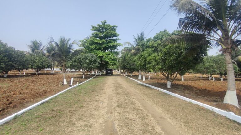 Tropical Harvest Garden